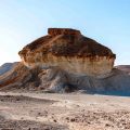טיול בישראל בחורף: שביל הפטריות - הערבה התיכונה